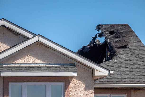 Top rated local Board Up Services specialists in Spring, TX